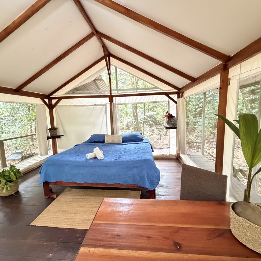 Tienda El Bosque