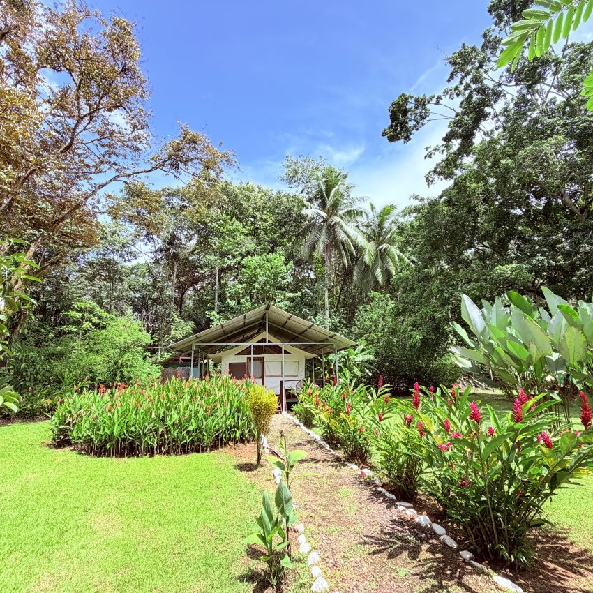 Tienda Amapola